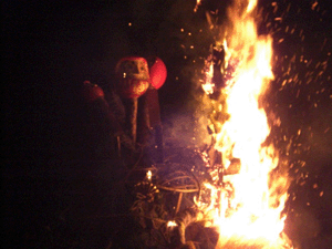 1301131.gif