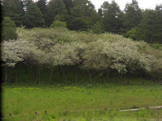 CIMG4065.JPG