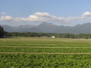 CIMG5489.JPG