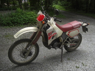 CIMG5534.JPG
