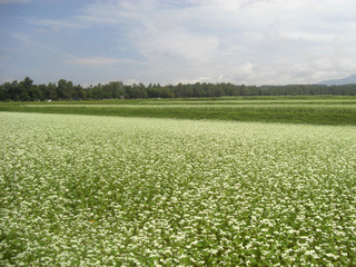 CIMG5603.JPG