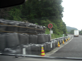 CIMG5630.JPG