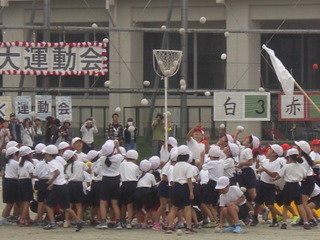 CIMG5668.JPG