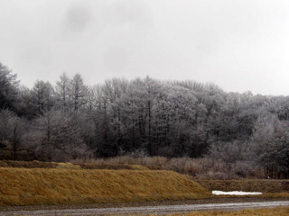 CIMG6315.JPG