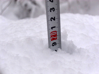 CIMG6338.JPG
