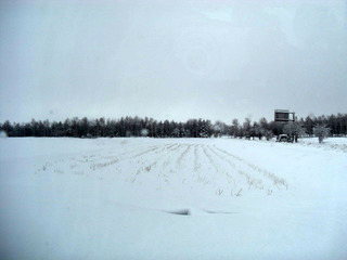 CIMG6344.JPG