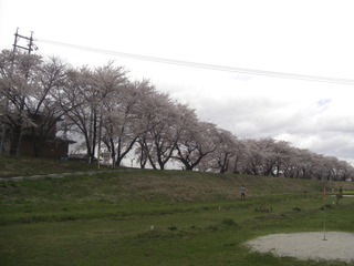CIMG6393.JPG