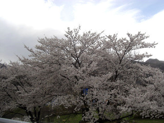 CIMG6399.JPG