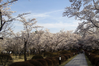 CIMG6465.JPG