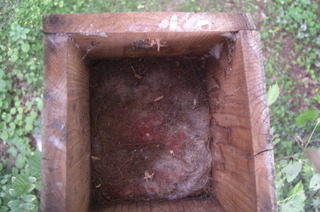 CIMG6556.JPG