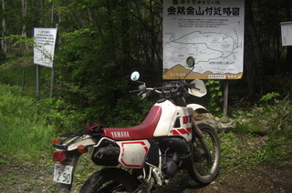 CIMG6567.JPG