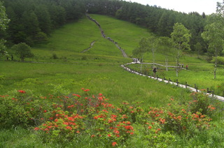 CIMG6578.JPG
