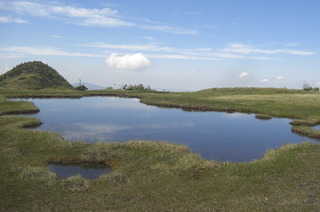 CIMG6690.JPG