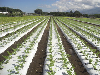 CIMG6704.JPG