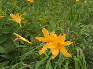CIMG6719.JPG