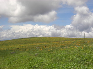 CIMG6722.JPG