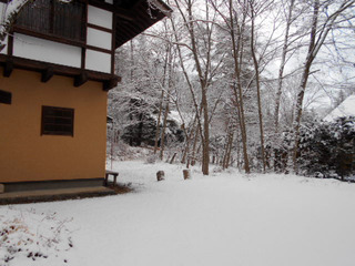 DSCN0086.JPG