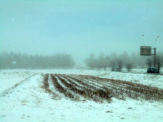 DSCN0088.JPG