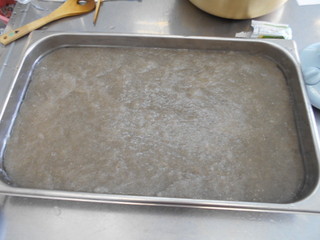 DSCN0095.JPG