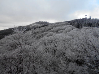 DSCN0174.JPG