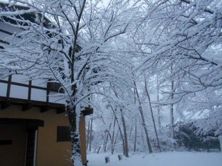 DSCN0353.JPG