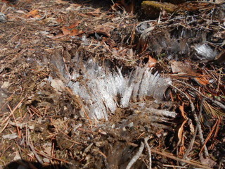 DSCN0384.JPG