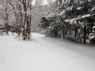 DSCN0469.JPG