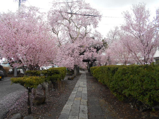 DSCN0553.JPG