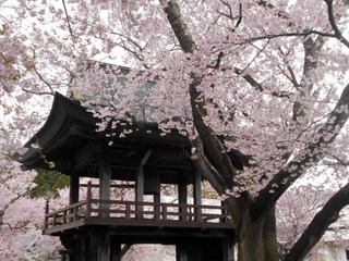 DSCN0554.JPG