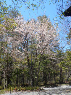 DSCN0579.JPG