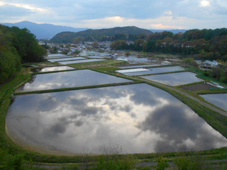 DSCN0590.JPG