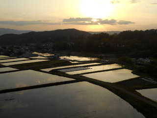 DSCN0628.JPG