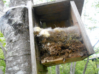 DSCN0664.JPG