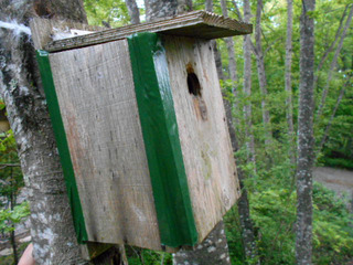 DSCN0671.JPG