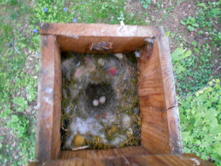DSCN0672.JPG