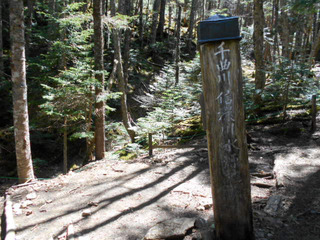 DSCN0676.JPG