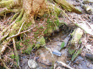 DSCN0677.JPG