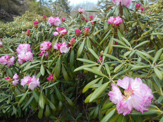 DSCN0693.JPG