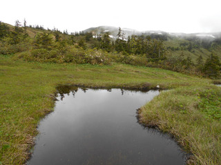 DSCN0780.JPG