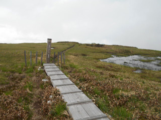DSCN0809.JPG