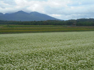 DSCN0947.JPG