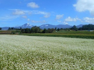 DSCN0951.JPG