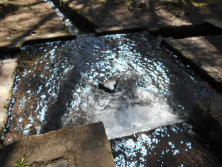 DSCN1044.JPG