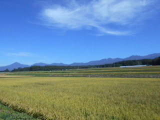 DSCN1051.JPG