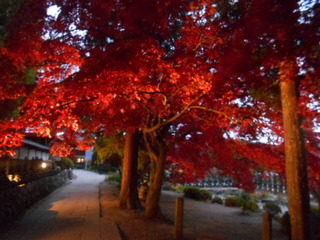 DSCN1161.JPG