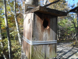 DSCN1179.JPG