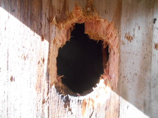 DSCN1180.JPG