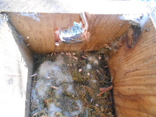 DSCN1183.JPG