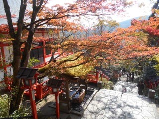 DSCN1231.JPG