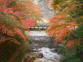 DSCN1256.JPG